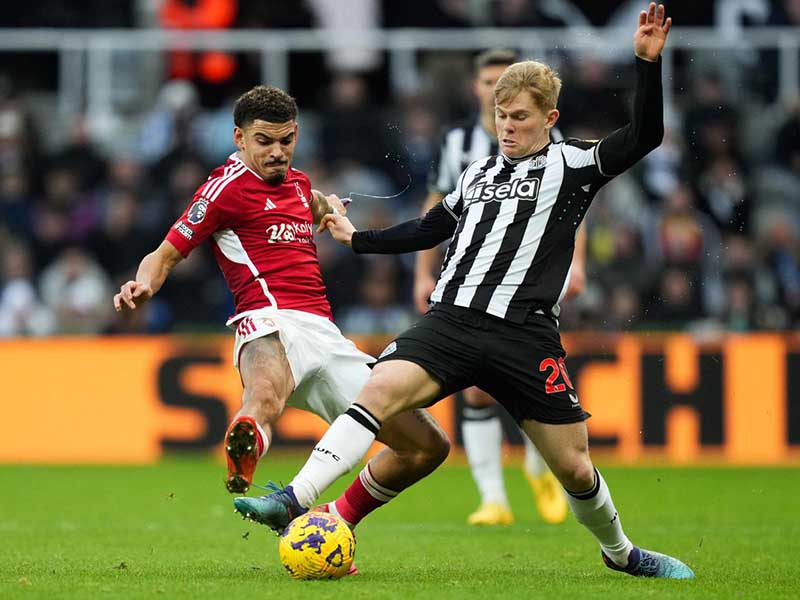 Nhận định soi kèo Nottingham Forest vs Newcastle lúc 02h00 ngày 29/8/2024