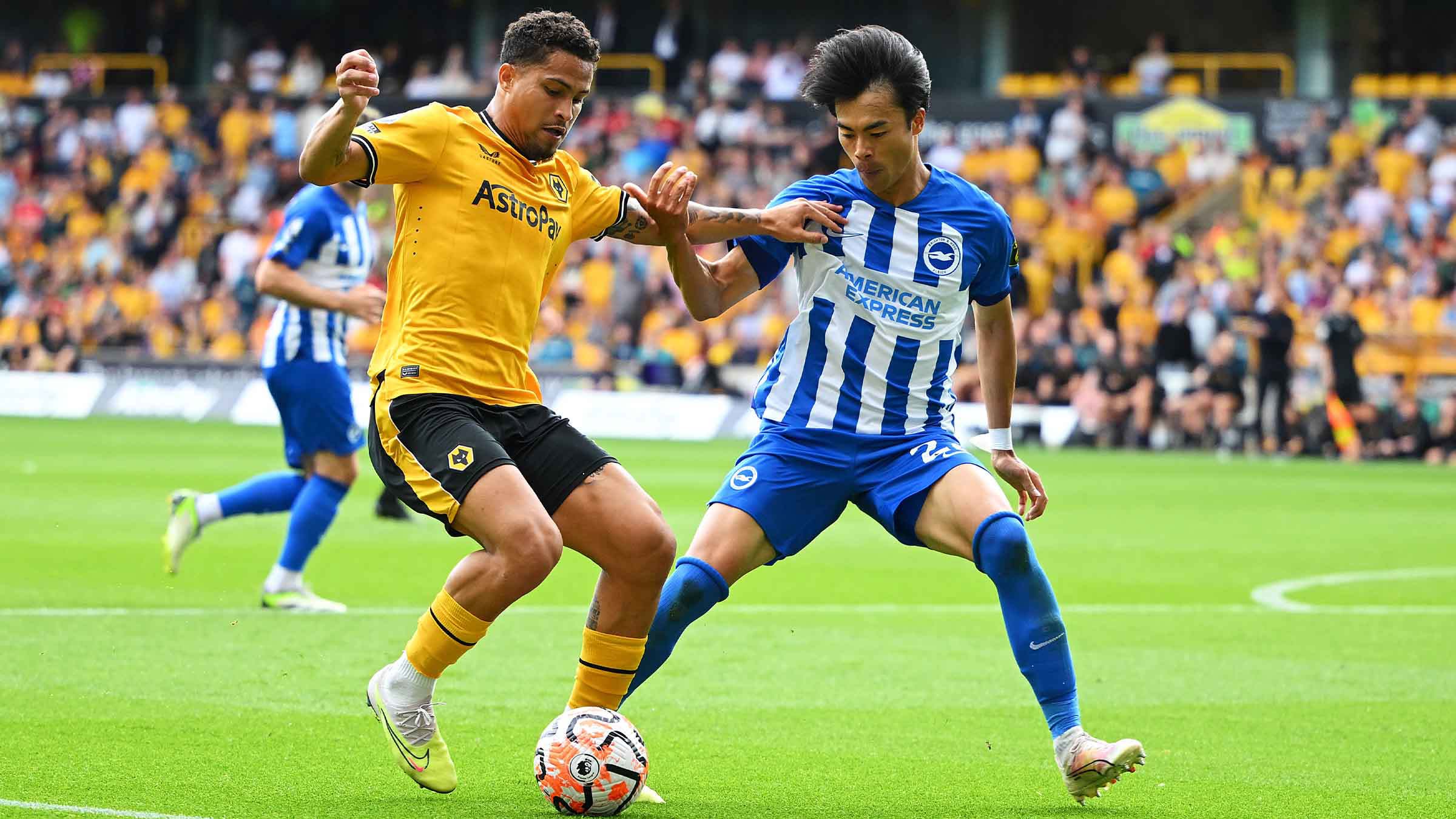 nhan-dinh-soi-keo-brighton-vs-wolves-luc-01h45-ngay-19-9-2024-1